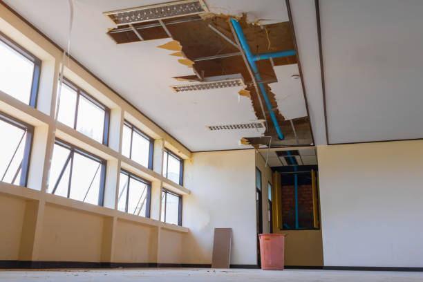 Best Water damage mitigation services  in Mission Hills, CA