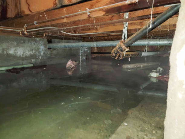 Best Water damage restoration near me  in Mission Hills, CA