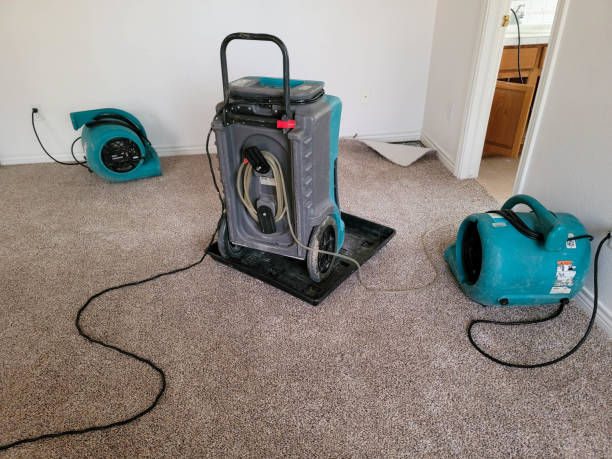 Best Water damage restoration process  in Mission Hills, CA
