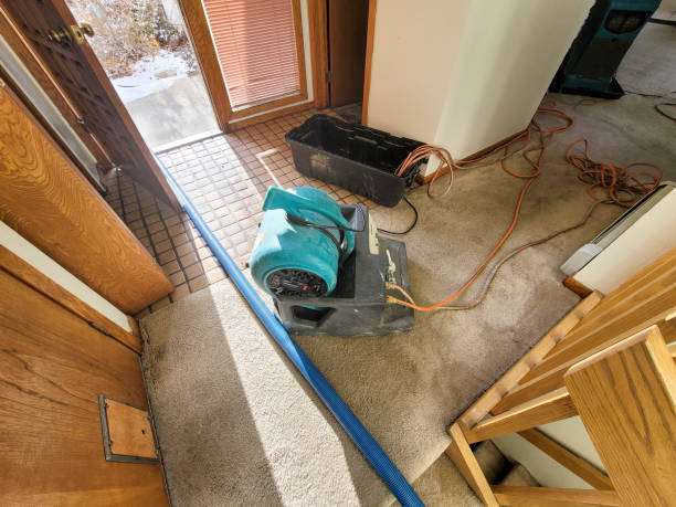 Best Basement water damage restoration  in Mission Hills, CA