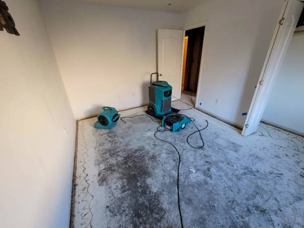 Best Residential water damage restoration  in Mission Hills, CA