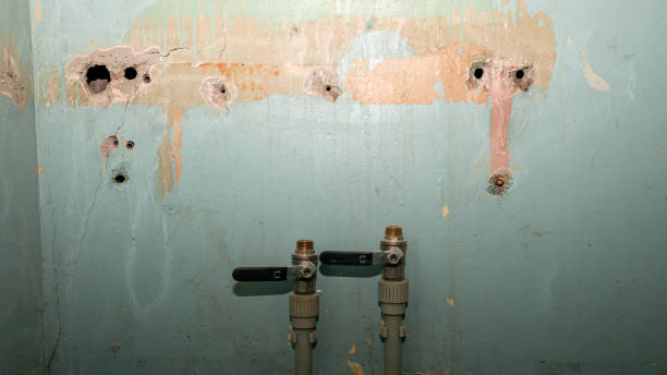 Best Mold removal after water damage  in Mission Hills, CA